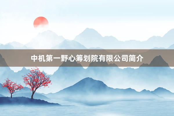 中机第一野心筹划院有限公司简介