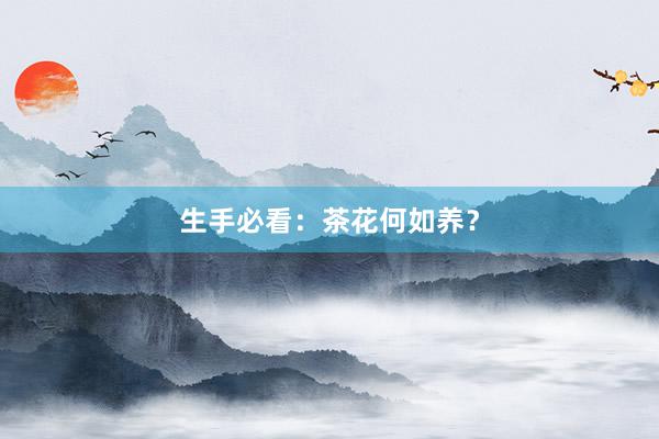 生手必看：茶花何如养？