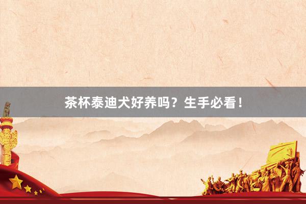 茶杯泰迪犬好养吗？生手必看！