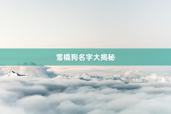 雪橇狗名字大揭秘