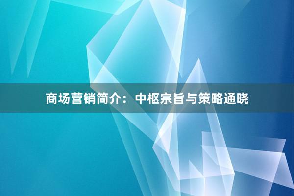 商场营销简介：中枢宗旨与策略通晓